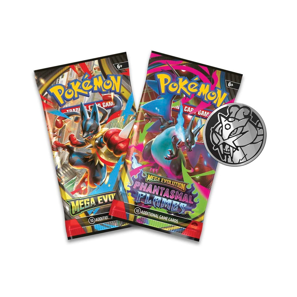 Pokémon TCG: Raikou 2-Pack Blister