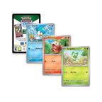Pokémon TCG: Summer 2023 Collector Chest
