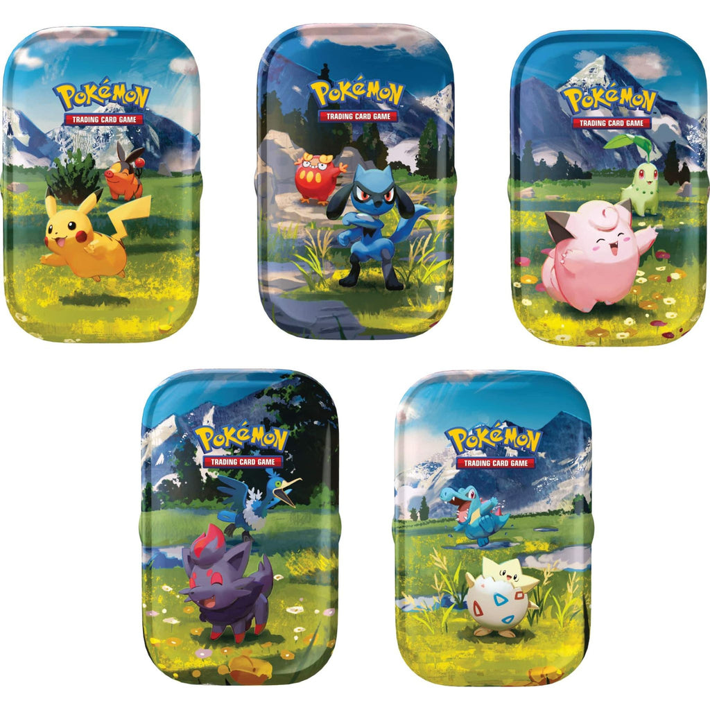 Pokémon TCG: Ascended Heroes Mini Tin Collection Display